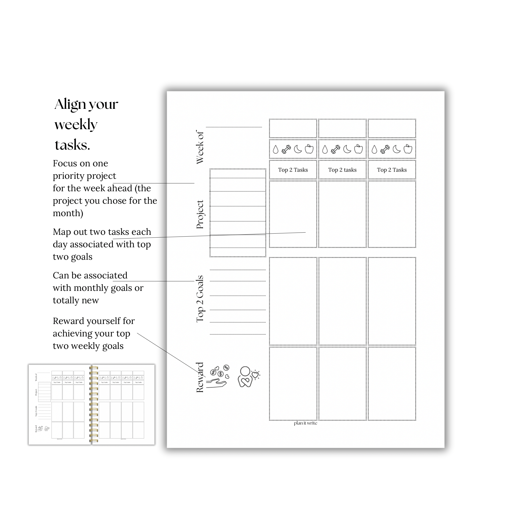 DISC BOUND | TWO TASKS TODAY | CLASSIC