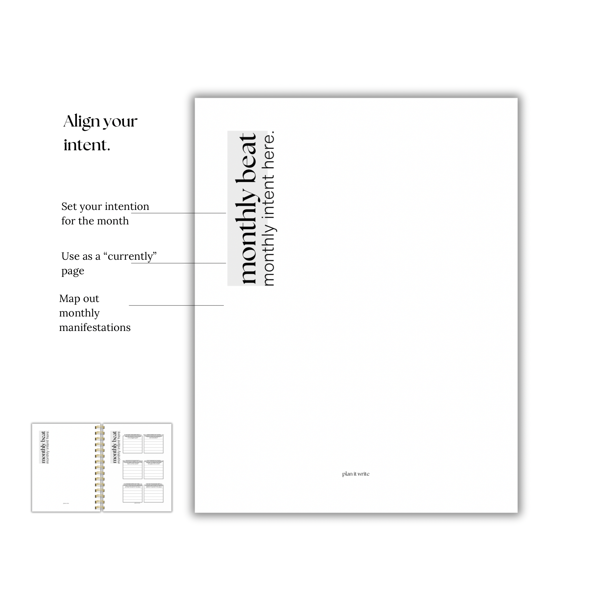 DISC BOUND | TWO TASKS TODAY PLANNER | FERN GREEN