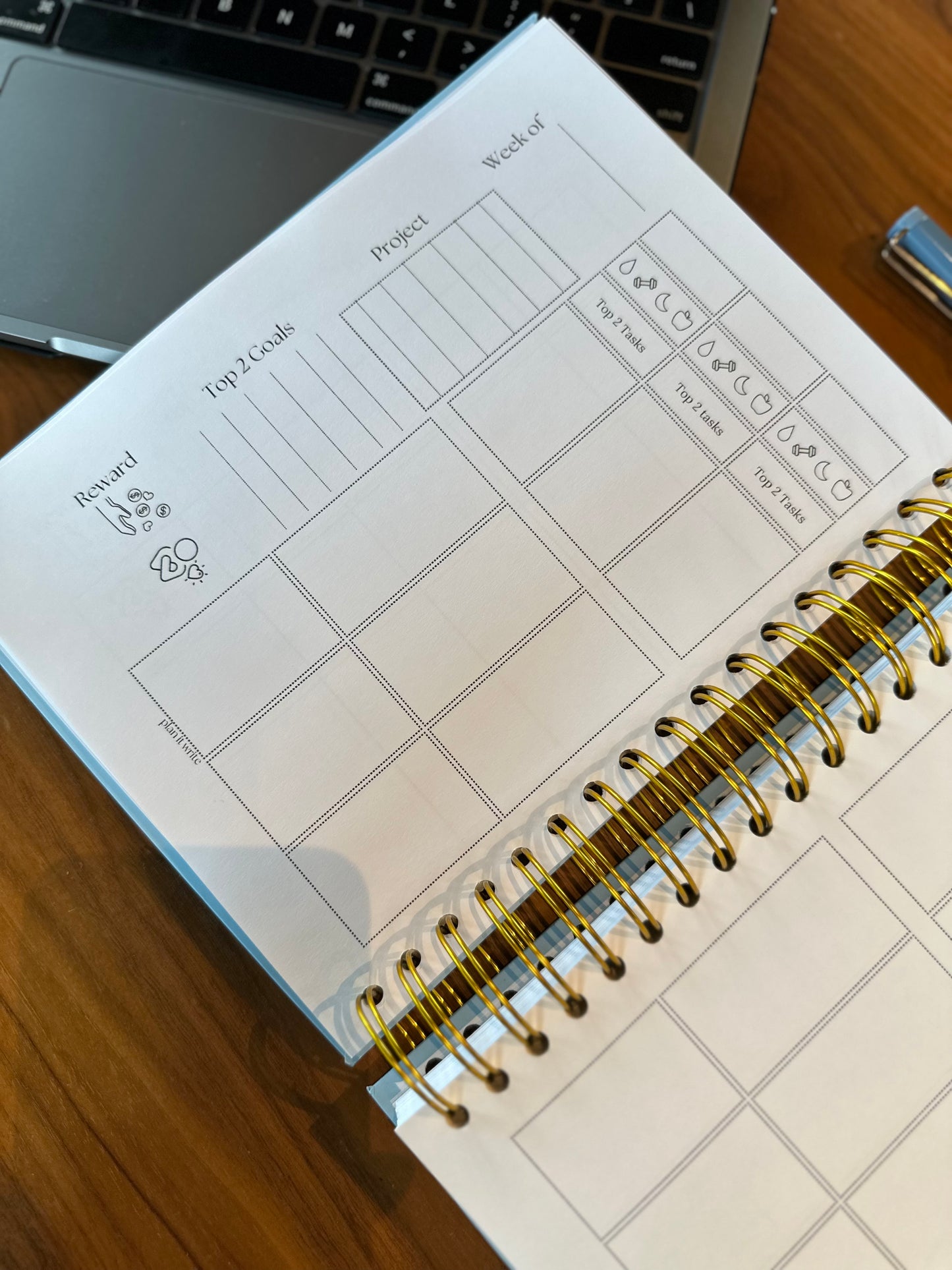 TWO TASKS TODAY PLANNER | FERN GREEN