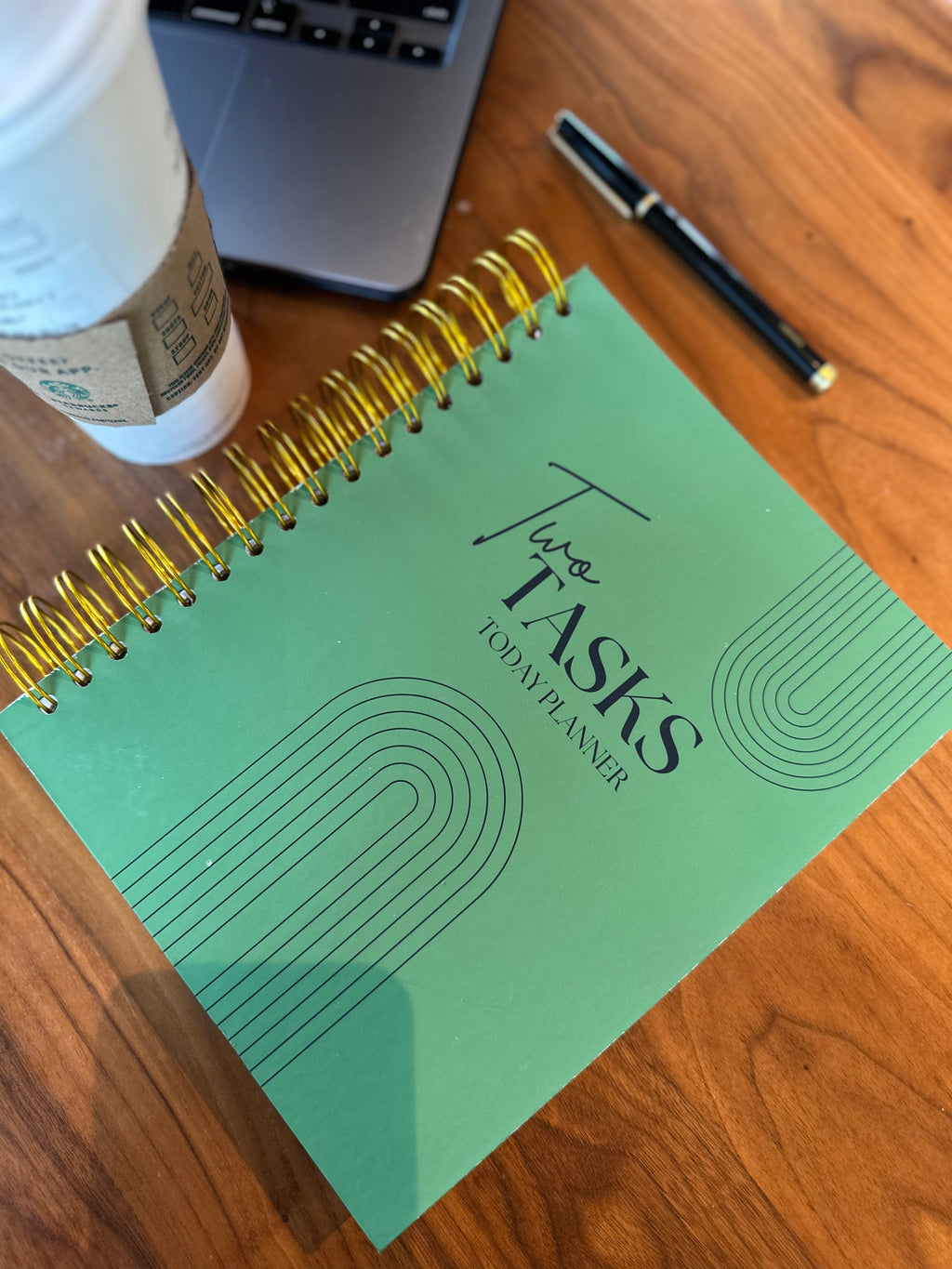 DISC BOUND | TWO TASKS TODAY PLANNER | FERN GREEN