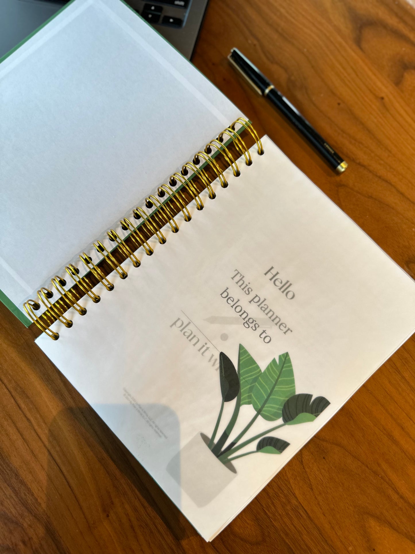 TWO TASKS TODAY PLANNER | FERN GREEN